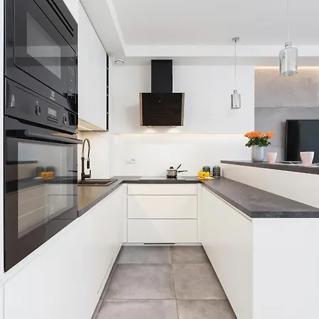 Harmonica Trynitarska By Renters Krakow