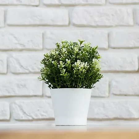 Apartment Harmonica Trynitarska By Renters *