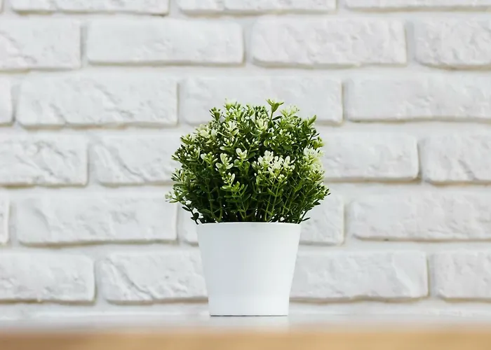 Apartment Harmonica Trynitarska By Renters *