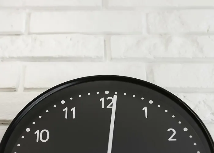 Harmonica Trynitarska By Renters Kraków