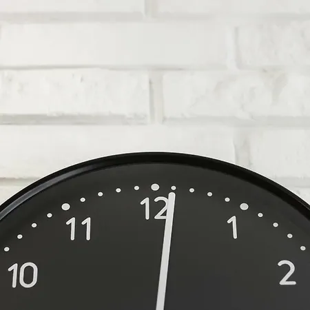 Harmonica Trynitarska By Renters Kraków